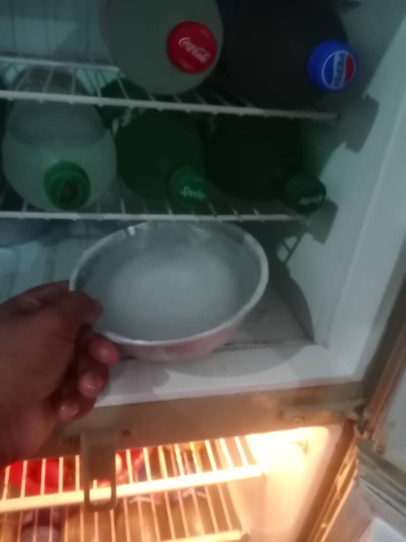 PEL fridge 3