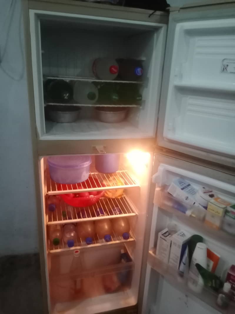 PEL fridge 4