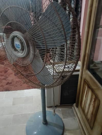 Pak Fan