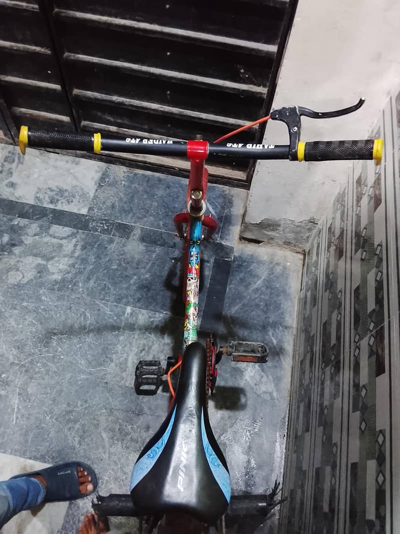 bicycle 2