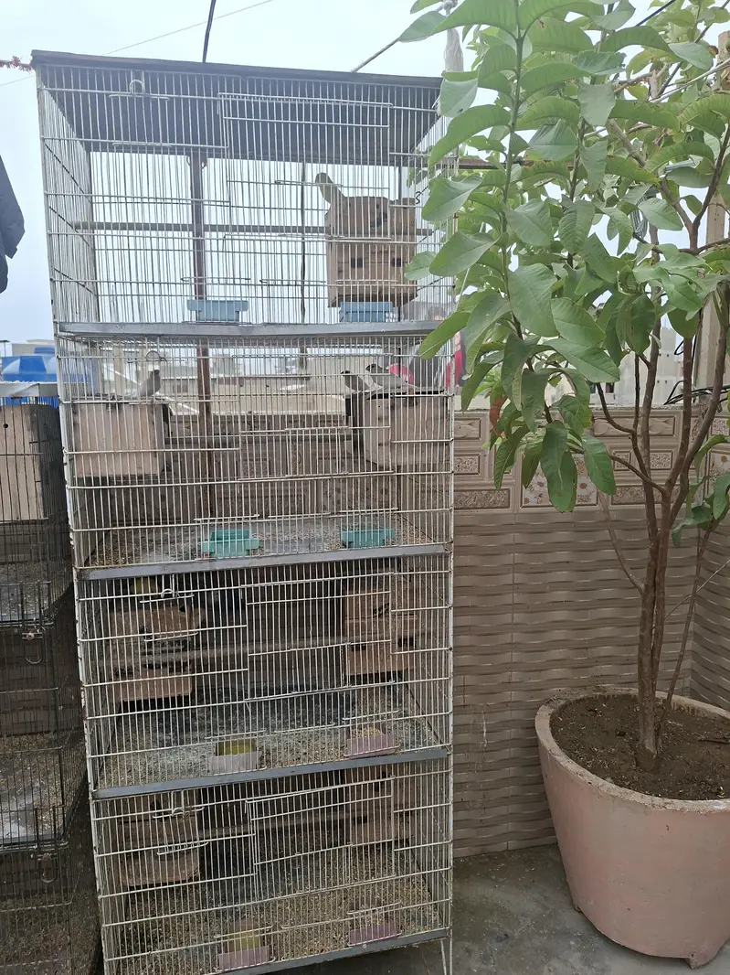 two cage for sell — photo 2