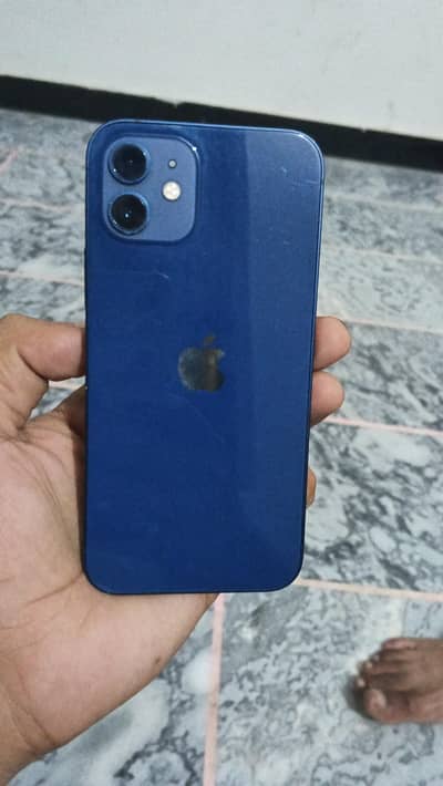 Apple iPhone 12