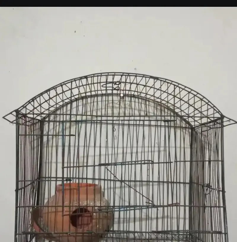 cage for sale / pinjara — photo 2