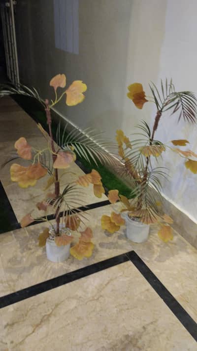 flower pot