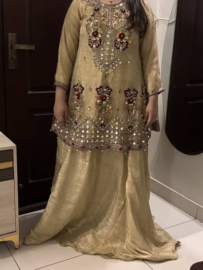 Organza + net fancy suit