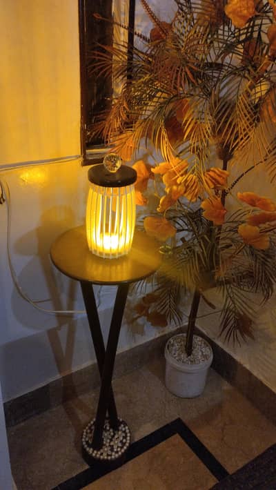 lamp and flowers big pot