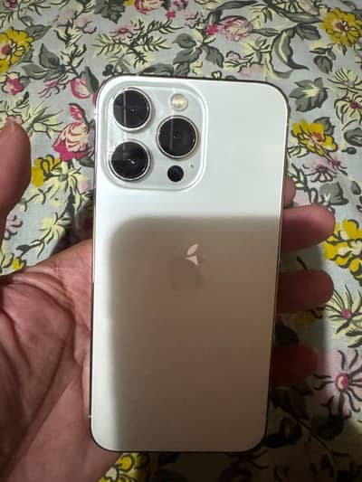 Apple iPhone 13 Pro