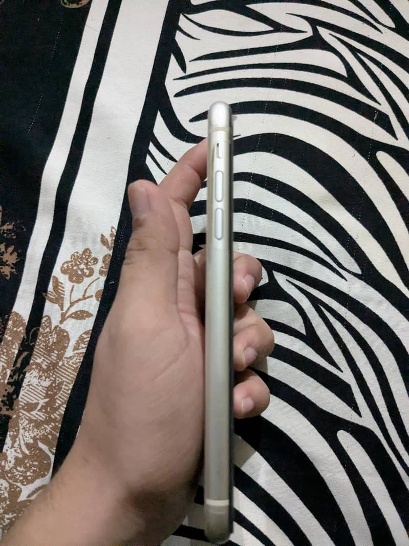 Apple iPhone 11 3