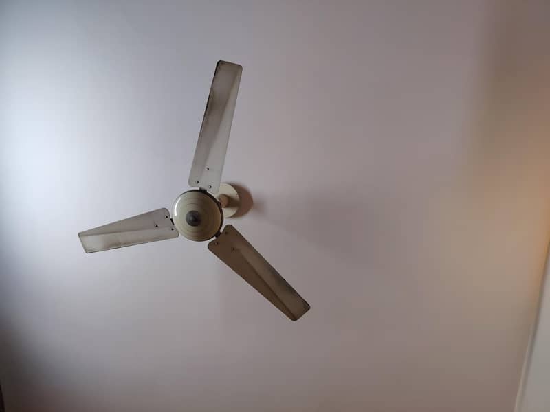 durable fan 1