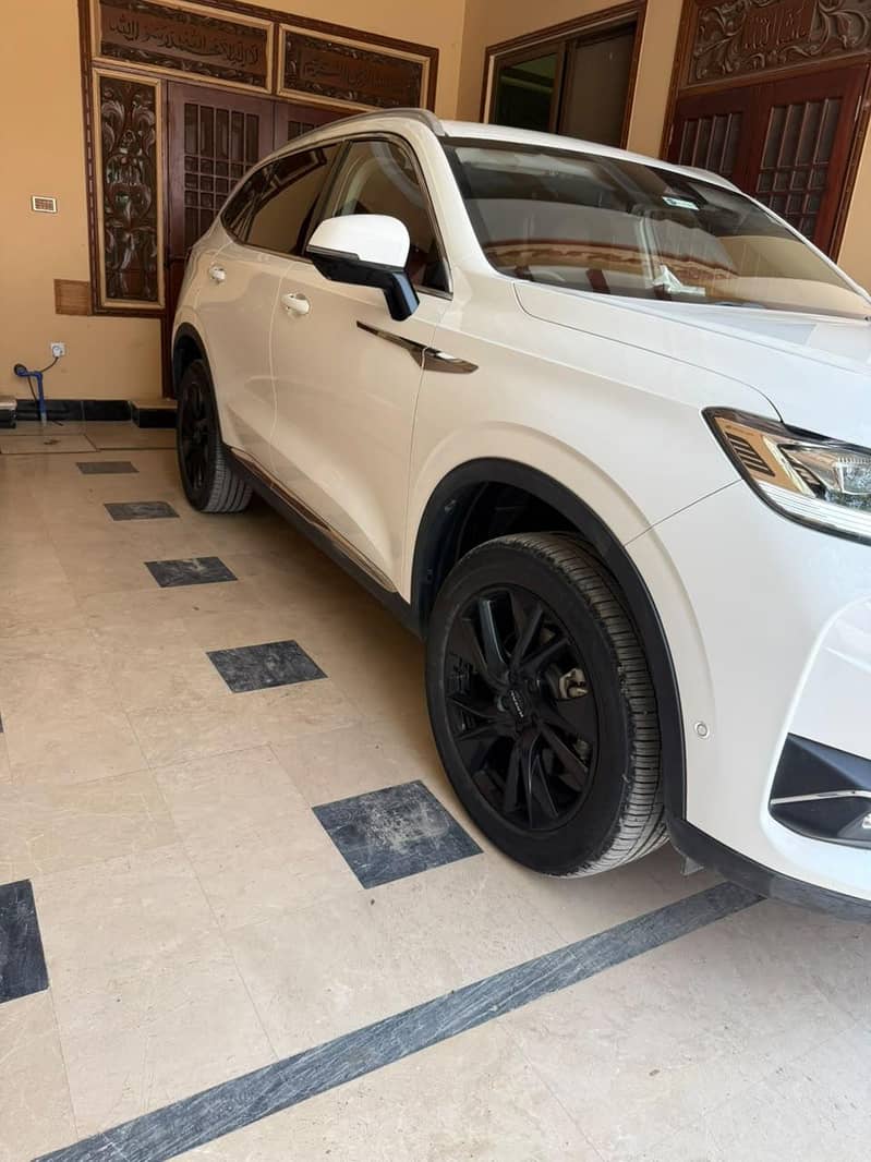 haval 7