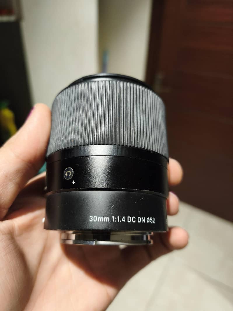 sigma 50mm e-mount 1