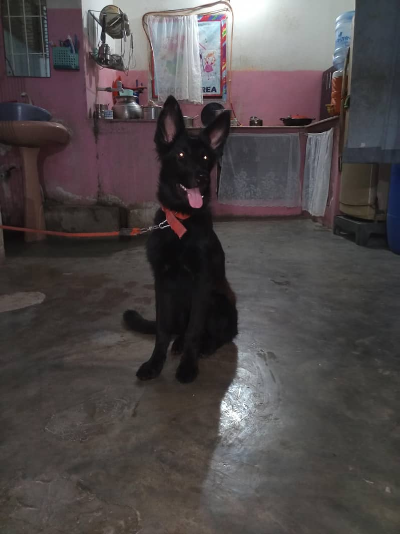 for sell 0