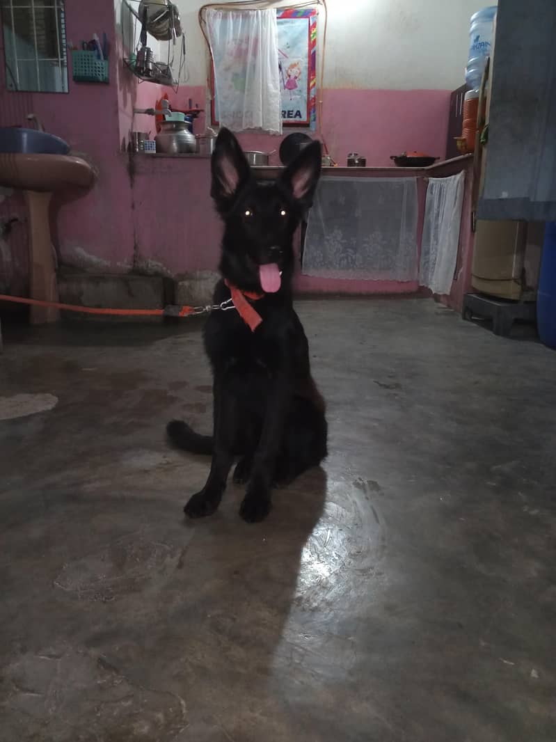 for sell 1