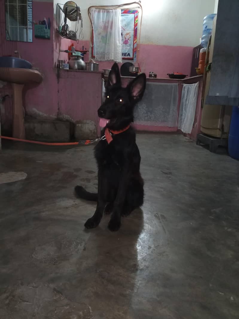 for sell 2