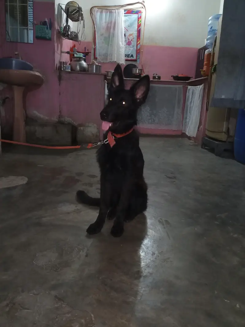 for sell — photo 3