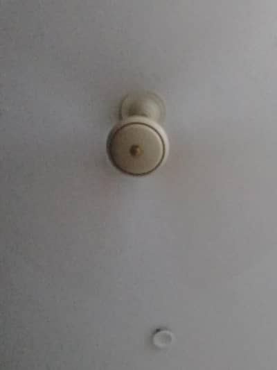 fans for sale