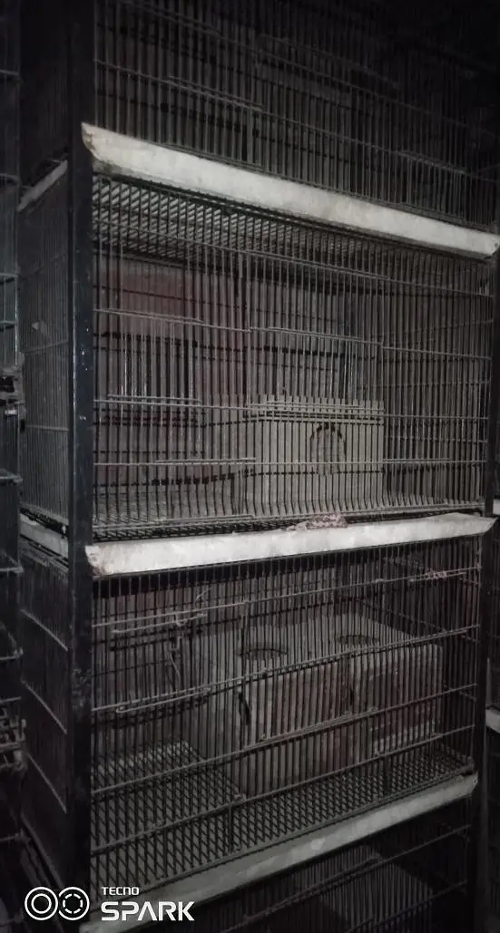4 PORTION FULL ANGEL IRON CAGE — photo 2
