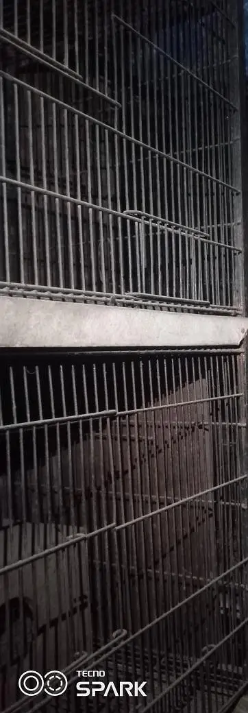 4 PORTION FULL ANGEL IRON CAGE — photo 3