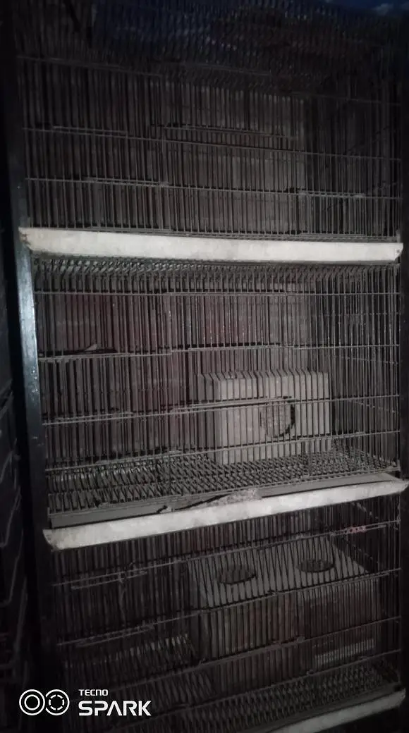 4 PORTION FULL ANGEL IRON CAGE — photo 4