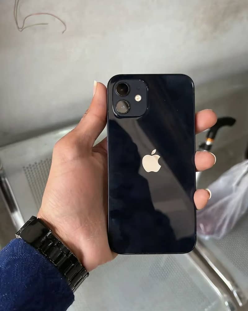 Apple iPhone 12 1