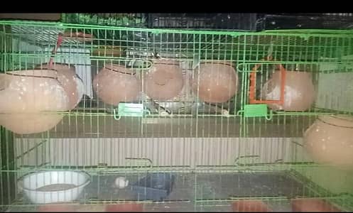 1.5 by 3 ft Folding cage with Accessories