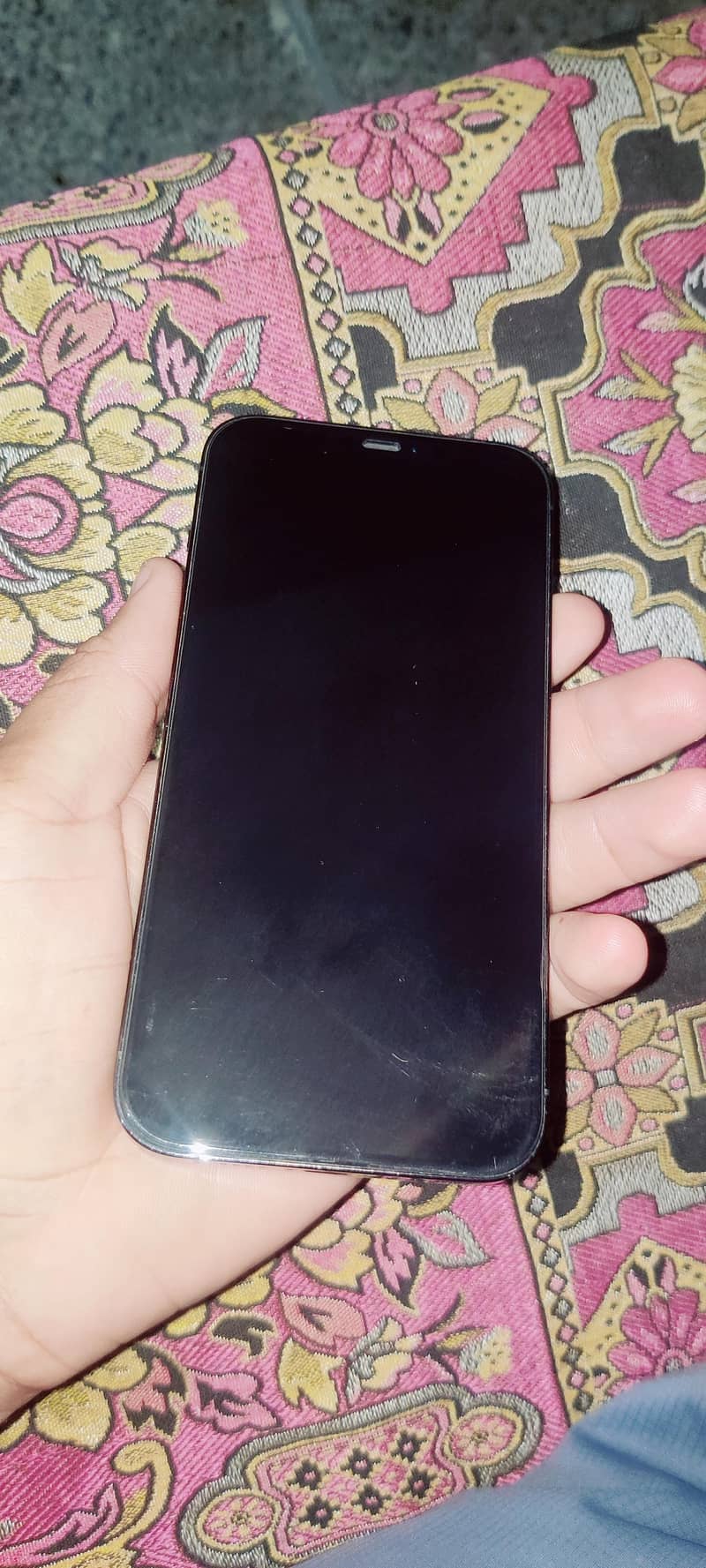 Apple iPhone 12 Pro Max 2