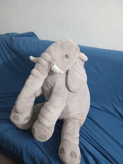 Big size elephant