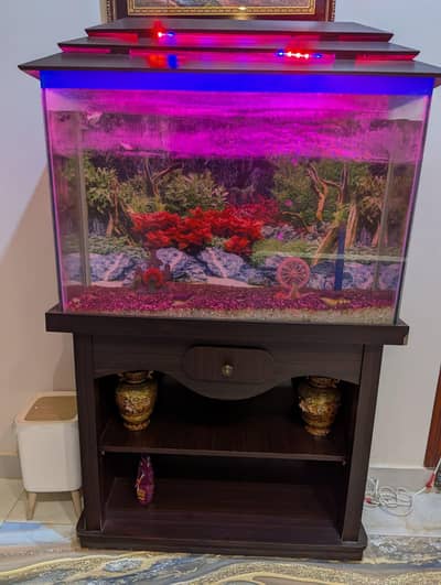 Aquarium and two small vases