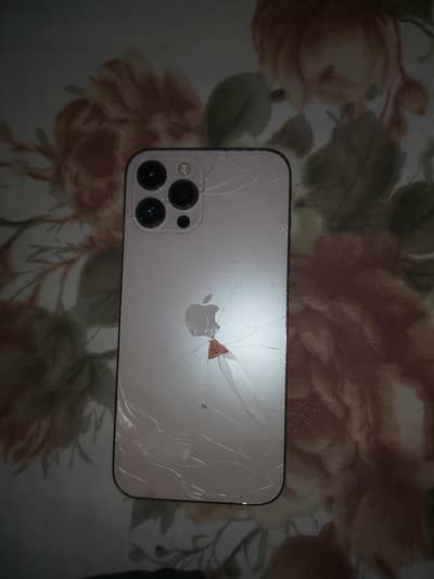 Apple iPhone 12 Pro Max