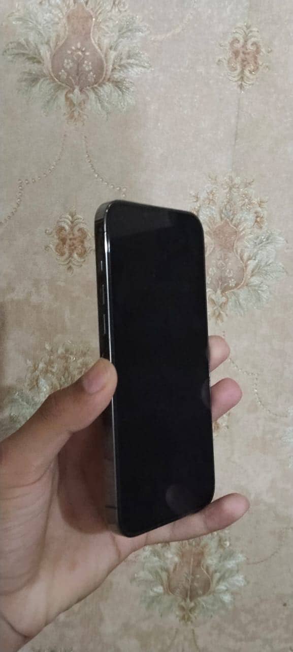 Apple iPhone 13 Pro Max 0