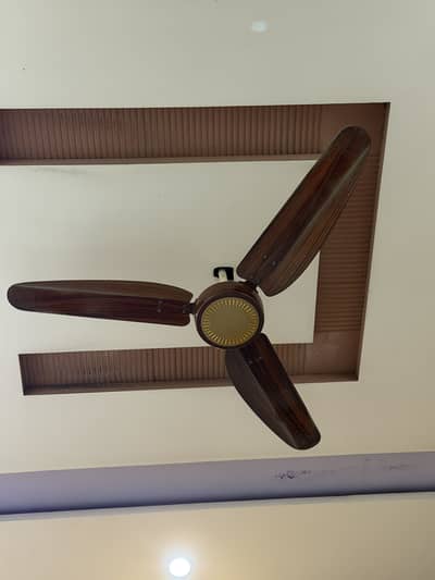 Perwaiz ceiling fans 100% copper