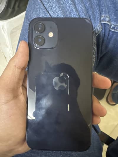 Apple iPhone 12