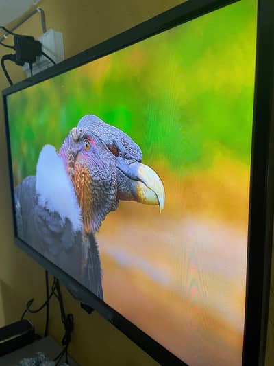 Haier Led Available For Sale