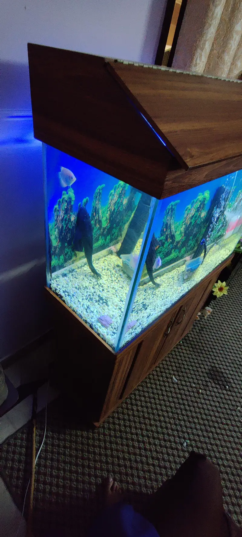2x3 Feet Aquarium with Solid Wooden Cabinet & Hood (Tank Only) — photo 2