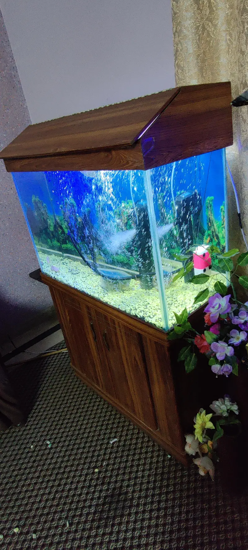2x3 Feet Aquarium with Solid Wooden Cabinet & Hood (Tank Only) — photo 3