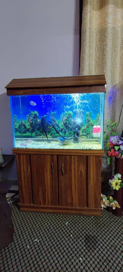 2x3 Feet Aquarium with Solid Wooden Cabinet & Hood (Tank Only)