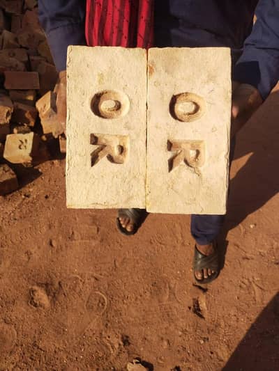Special Bricks