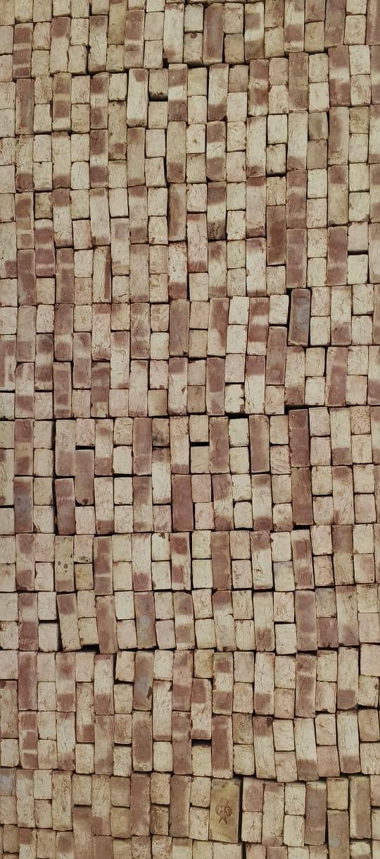 Special Bricks 6