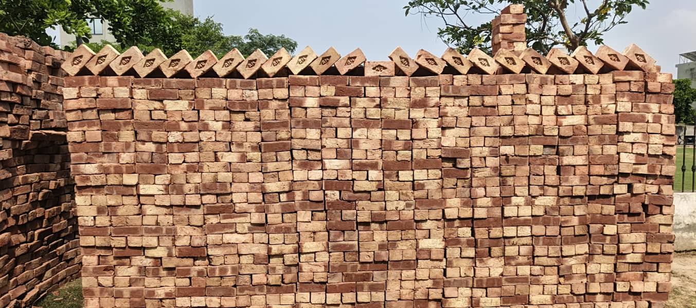 Special Bricks 12