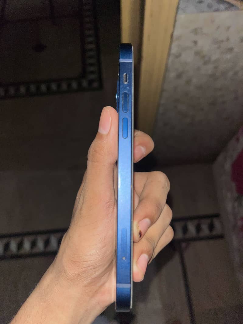 Apple iPhone 12 1