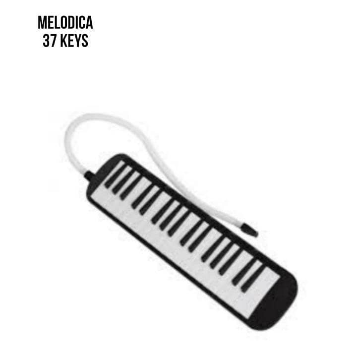 melodica 37 key 1