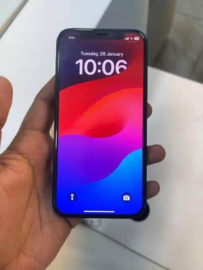 Apple iPhone 12