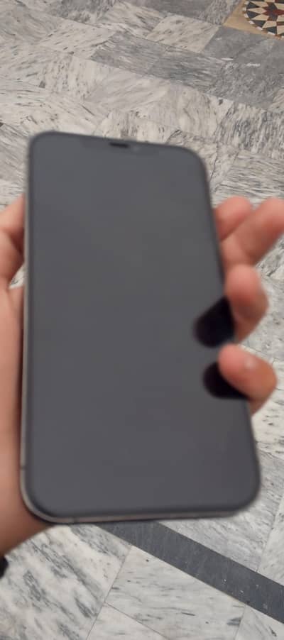 Apple iPhone 12 Pro Max add read first then message
