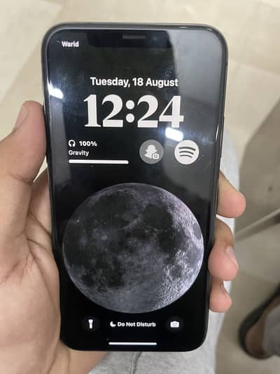 Apple iPhone X
