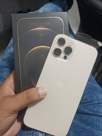 Apple iPhone 12 Pro Max