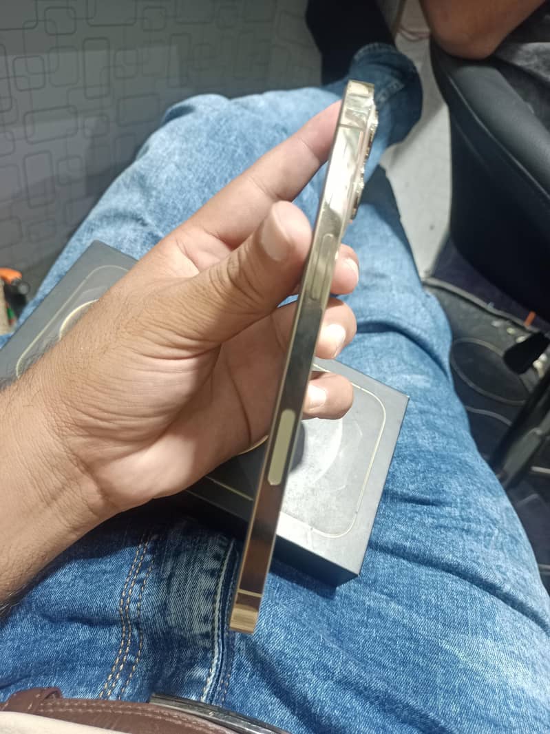 Apple iPhone 12 Pro Max 1