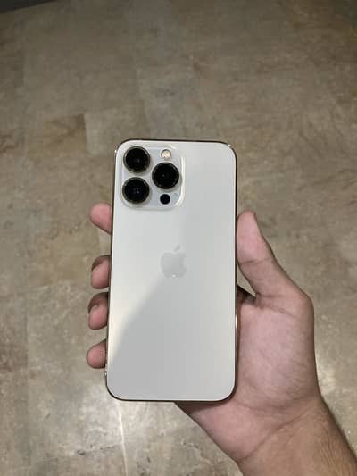 Apple iPhone 13 Pro
