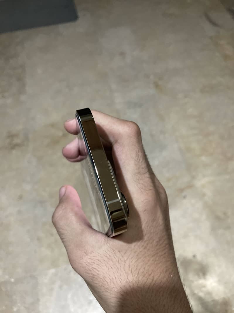 Apple iPhone 13 Pro 1
