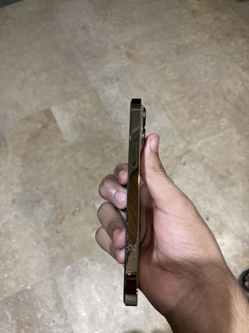 Apple iPhone 13 Pro 2