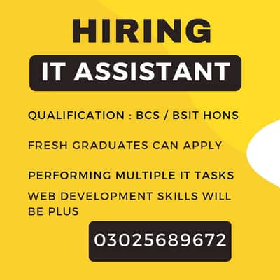 IT ASSISTANT